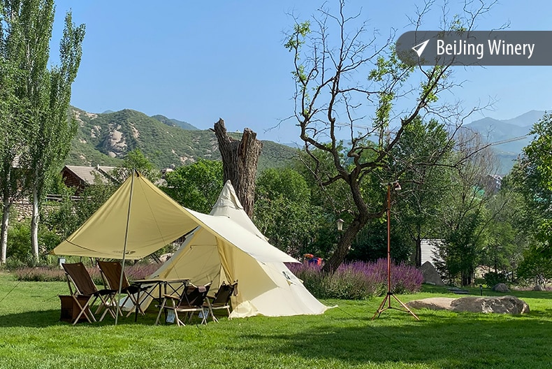 Cheap Goat Tents Mobi Garden ERA230 Large Cotton Canvas Tent With Stove Jack Glamping Pyramid Tent For Family Camping Hiking Travel 4 5 Persons   